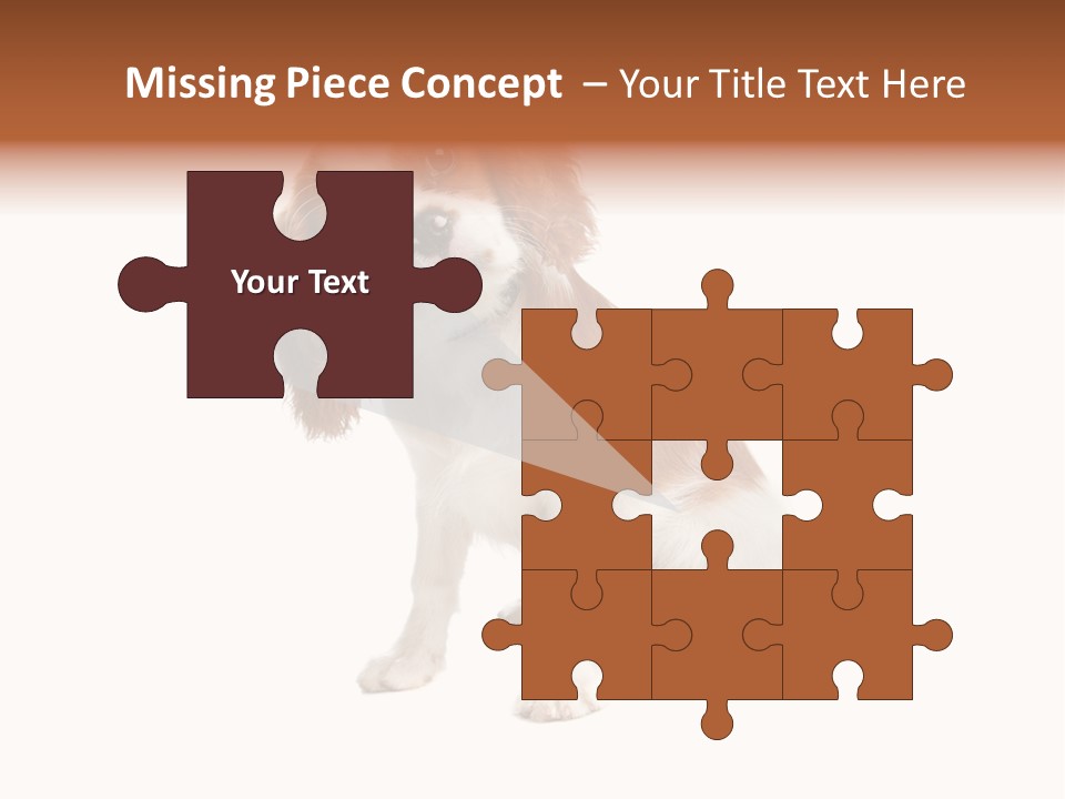 White Cavalier Dog PowerPoint Template