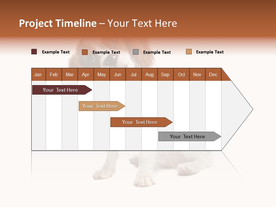 White Cavalier Dog PowerPoint Template