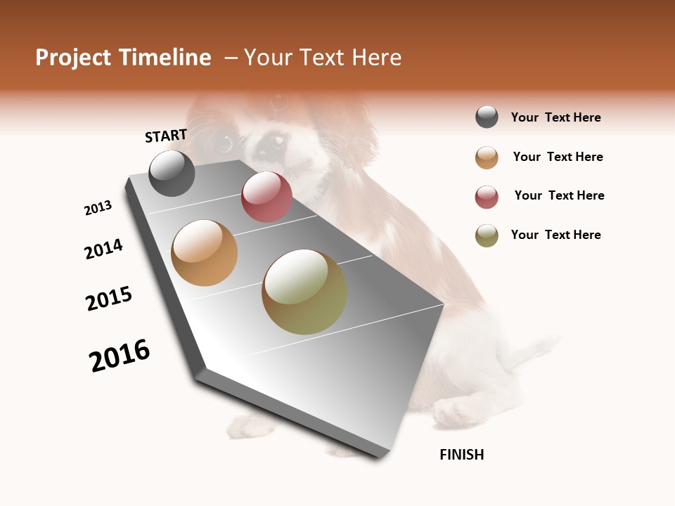 White Cavalier Dog PowerPoint Template