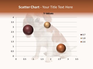 White Cavalier Dog PowerPoint Template