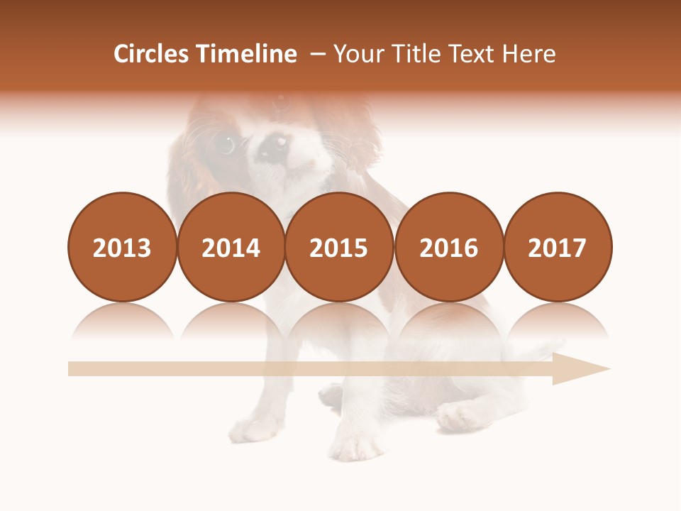 White Cavalier Dog PowerPoint Template