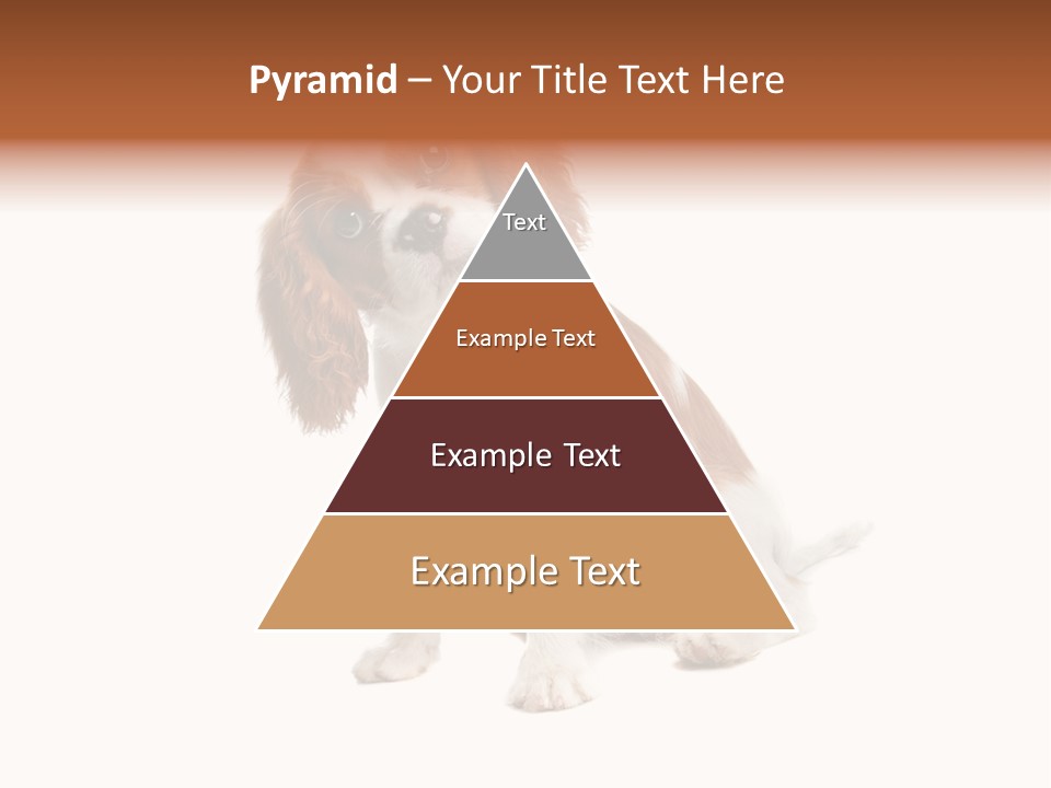 White Cavalier Dog PowerPoint Template