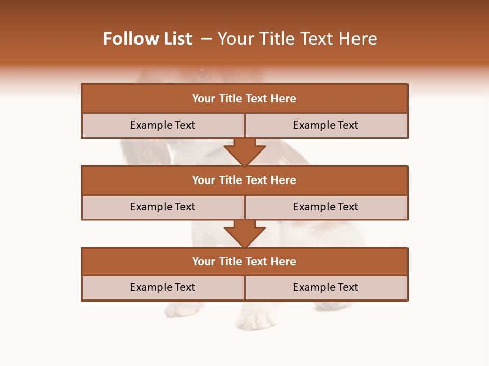 White Cavalier Dog PowerPoint Template