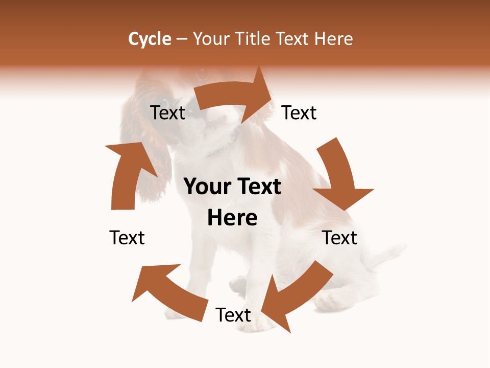 White Cavalier Dog PowerPoint Template