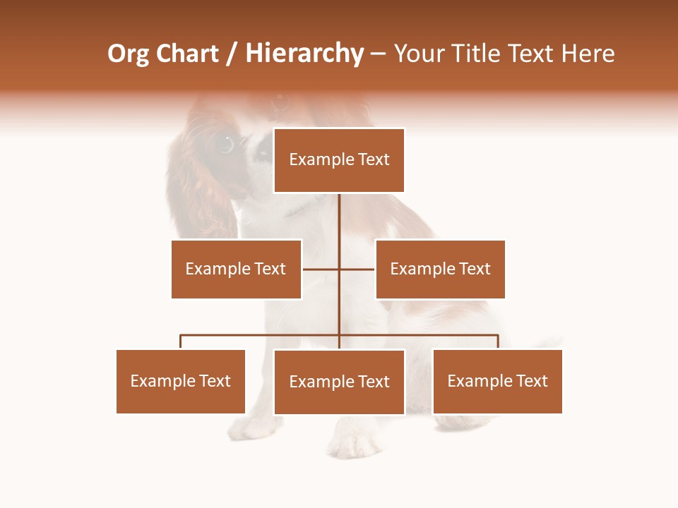 White Cavalier Dog PowerPoint Template