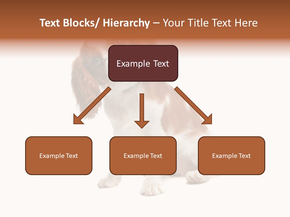 White Cavalier Dog PowerPoint Template