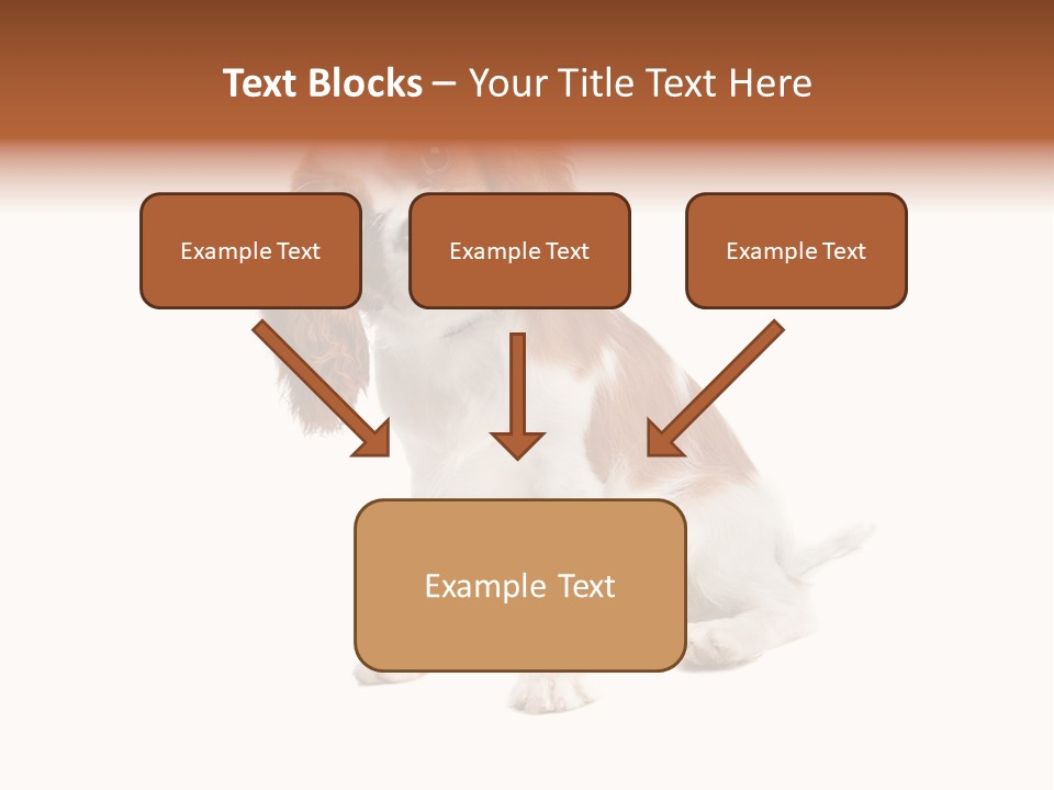 White Cavalier Dog PowerPoint Template