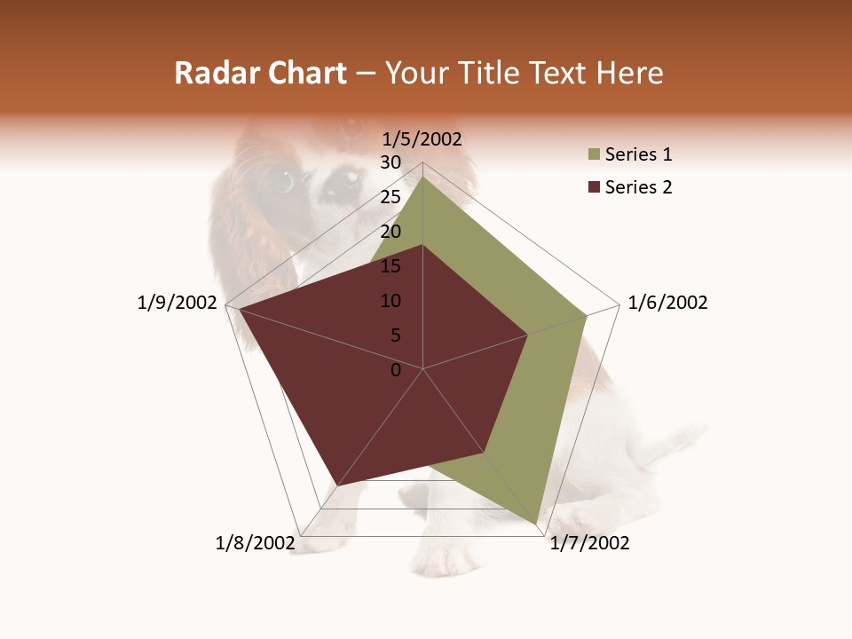 White Cavalier Dog PowerPoint Template