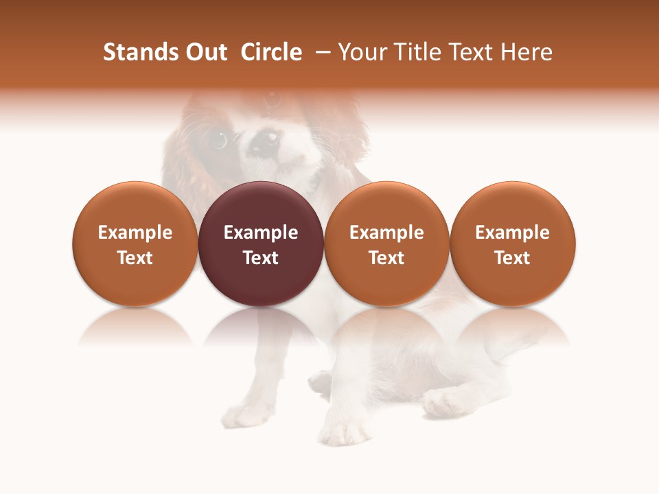 White Cavalier Dog PowerPoint Template