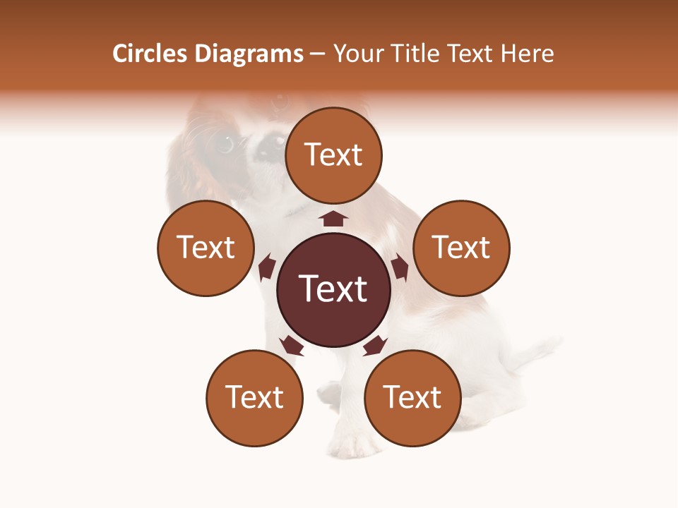 White Cavalier Dog PowerPoint Template