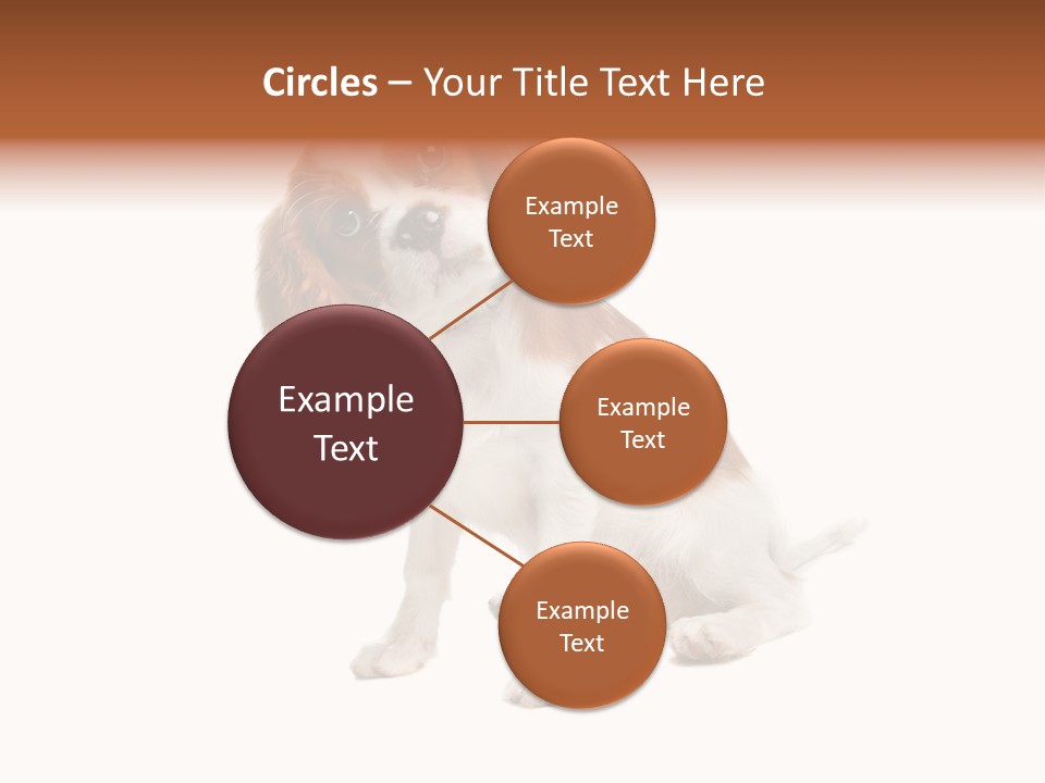 White Cavalier Dog PowerPoint Template