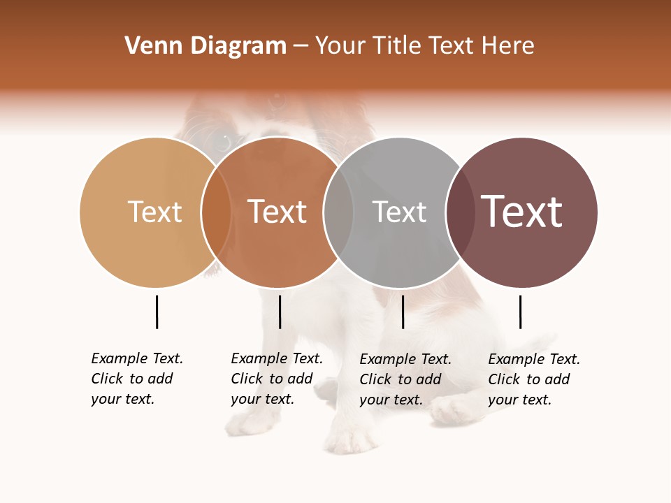 White Cavalier Dog PowerPoint Template