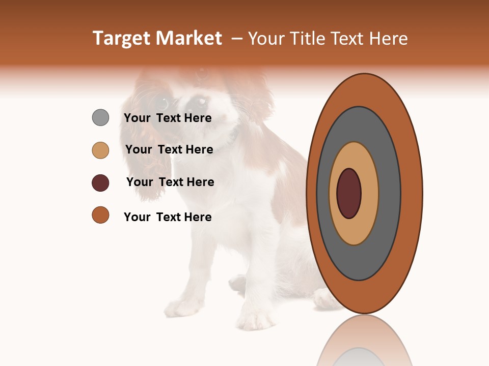White Cavalier Dog PowerPoint Template
