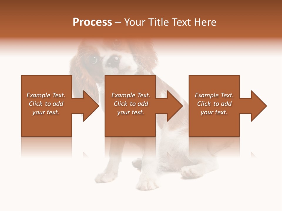 White Cavalier Dog PowerPoint Template