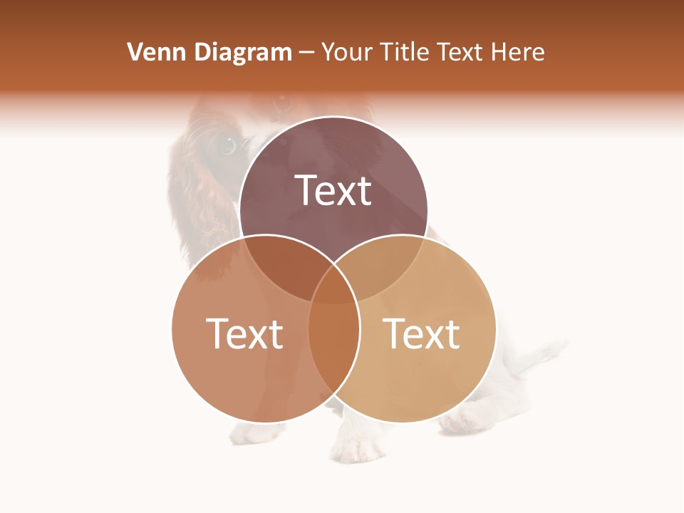 White Cavalier Dog PowerPoint Template