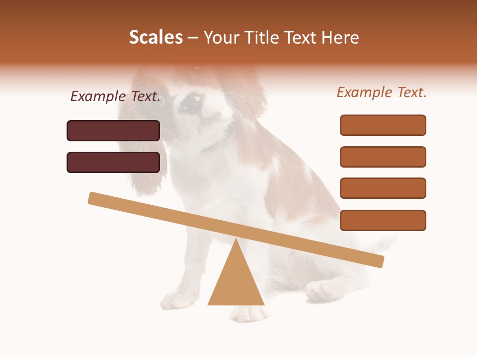 White Cavalier Dog PowerPoint Template
