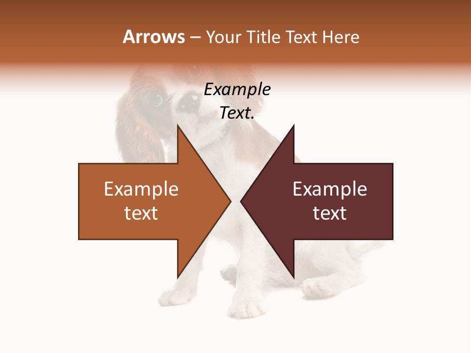 White Cavalier Dog PowerPoint Template