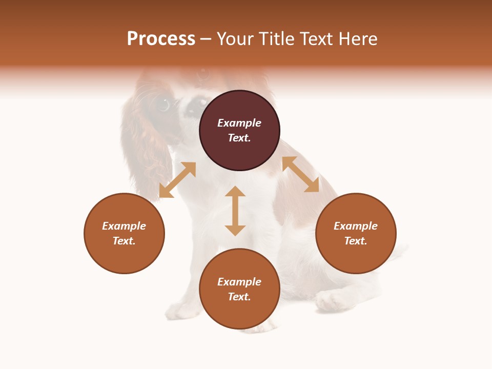 White Cavalier Dog PowerPoint Template