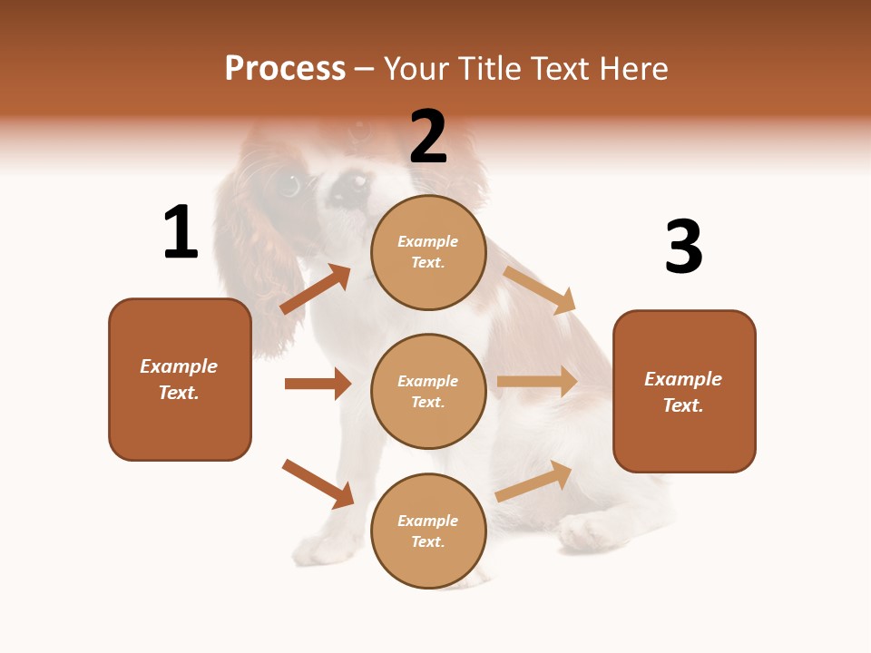 White Cavalier Dog PowerPoint Template