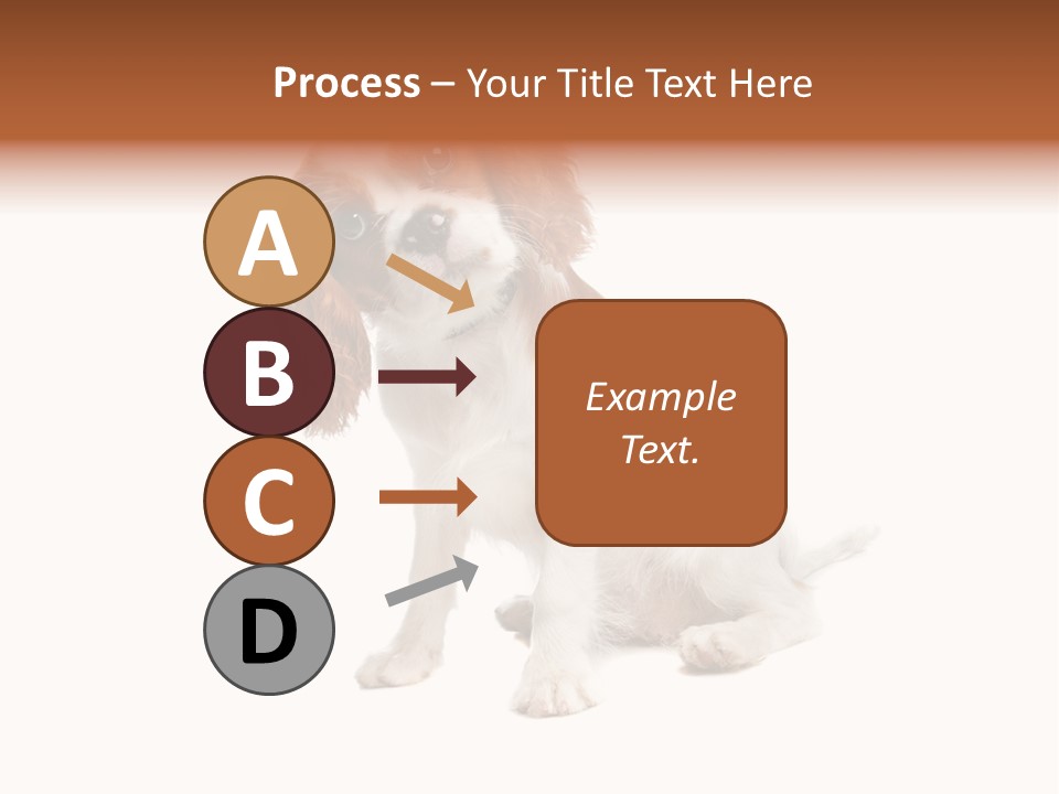 White Cavalier Dog PowerPoint Template