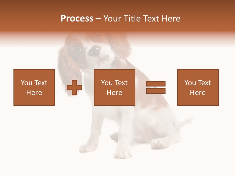 White Cavalier Dog PowerPoint Template