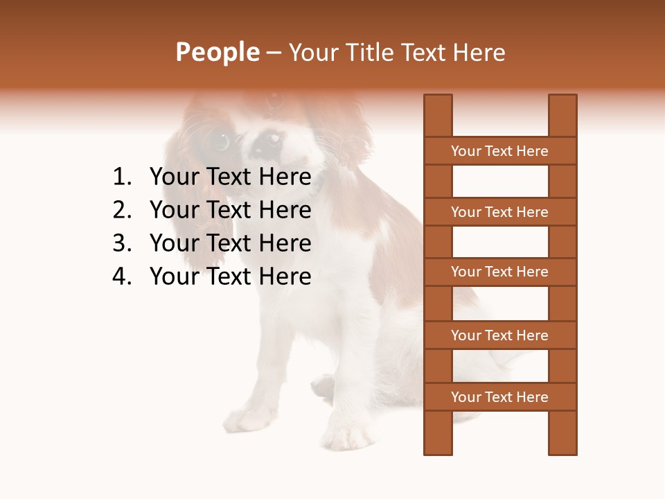 White Cavalier Dog PowerPoint Template