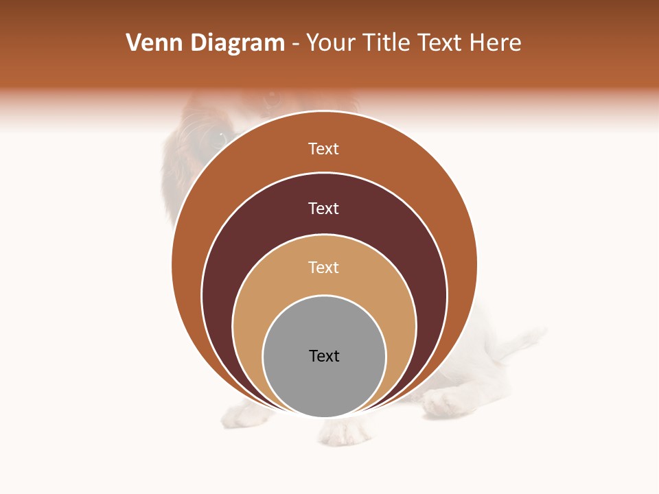 White Cavalier Dog PowerPoint Template