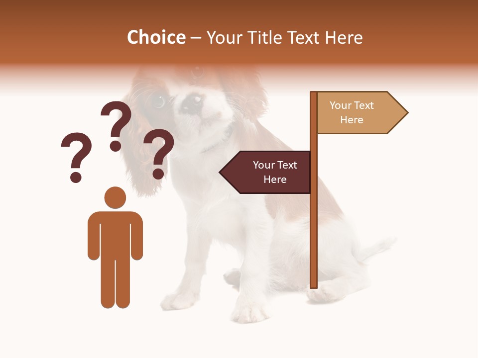 White Cavalier Dog PowerPoint Template