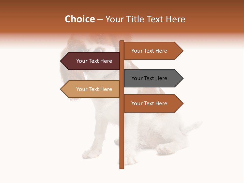 White Cavalier Dog PowerPoint Template