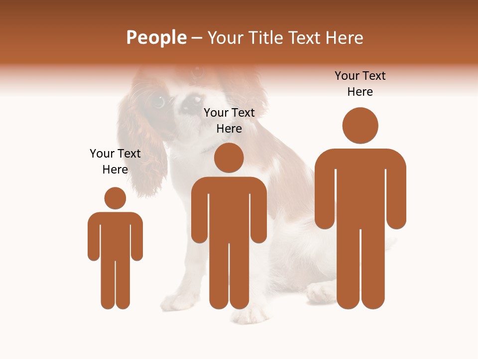 White Cavalier Dog PowerPoint Template