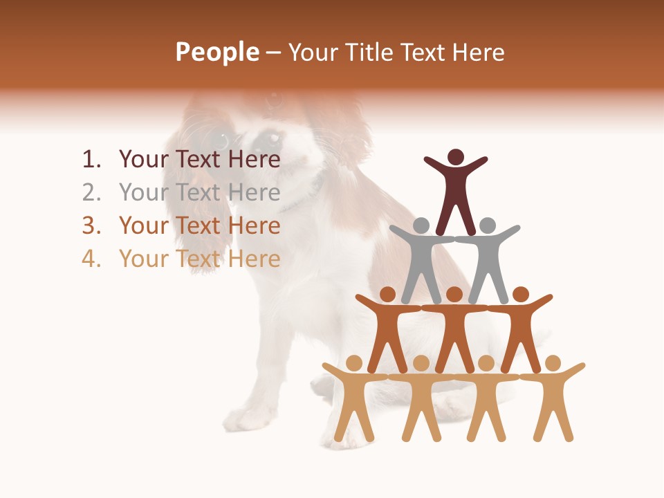 White Cavalier Dog PowerPoint Template