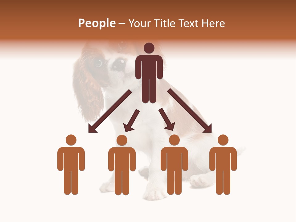 White Cavalier Dog PowerPoint Template