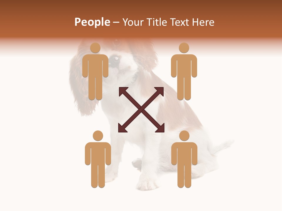 White Cavalier Dog PowerPoint Template