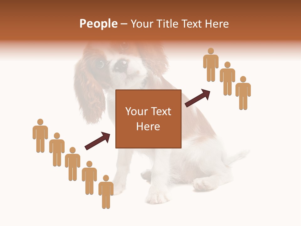 White Cavalier Dog PowerPoint Template