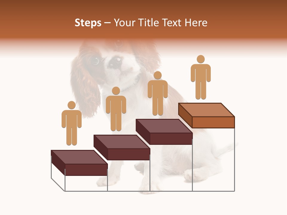 White Cavalier Dog PowerPoint Template