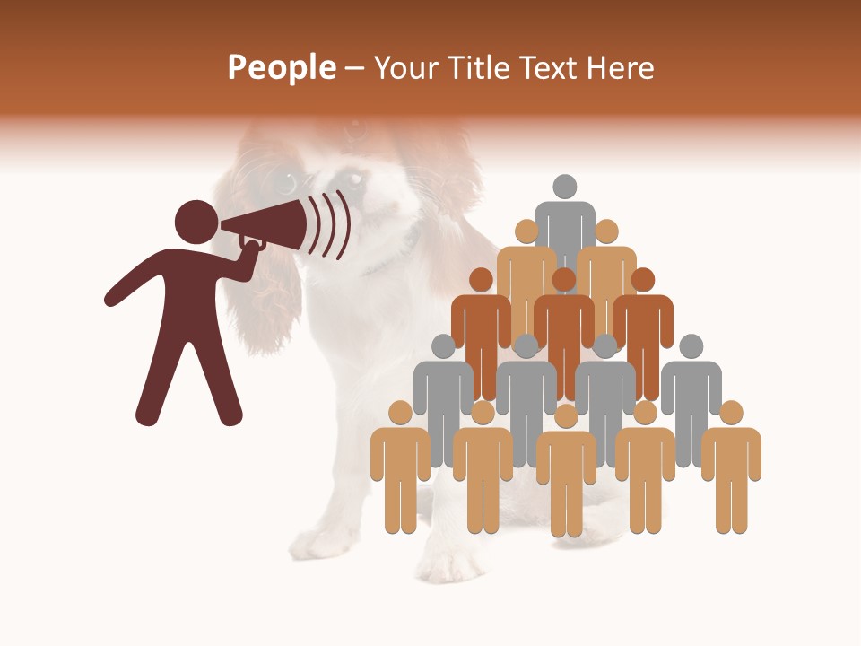 White Cavalier Dog PowerPoint Template