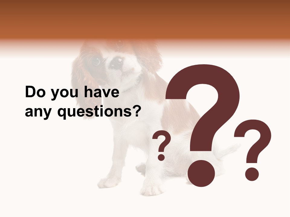 White Cavalier Dog PowerPoint Template