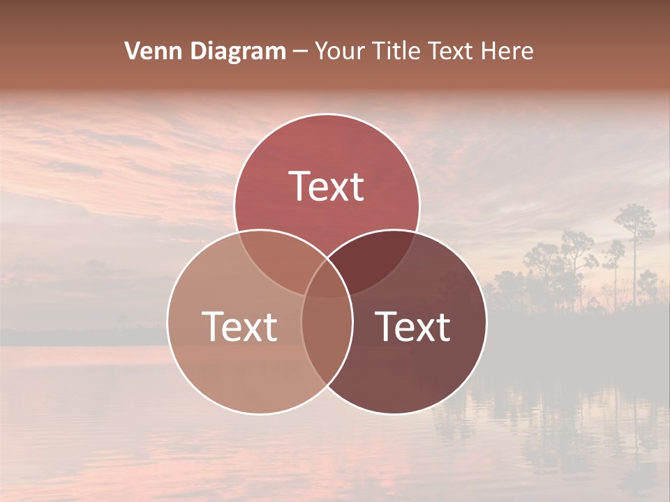 Water Reflections Red Pine PowerPoint Template