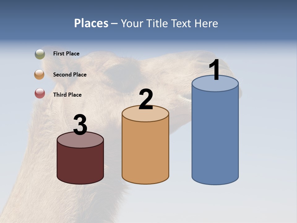 East Dry Dhabi PowerPoint Template