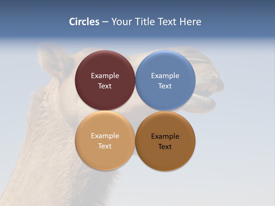 East Dry Dhabi PowerPoint Template