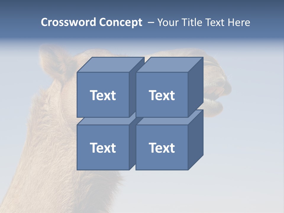 East Dry Dhabi PowerPoint Template