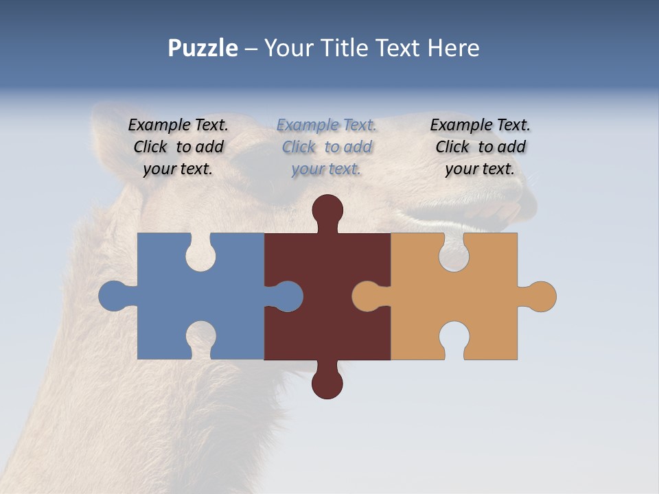 East Dry Dhabi PowerPoint Template