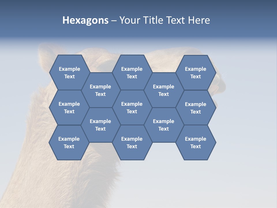 East Dry Dhabi PowerPoint Template