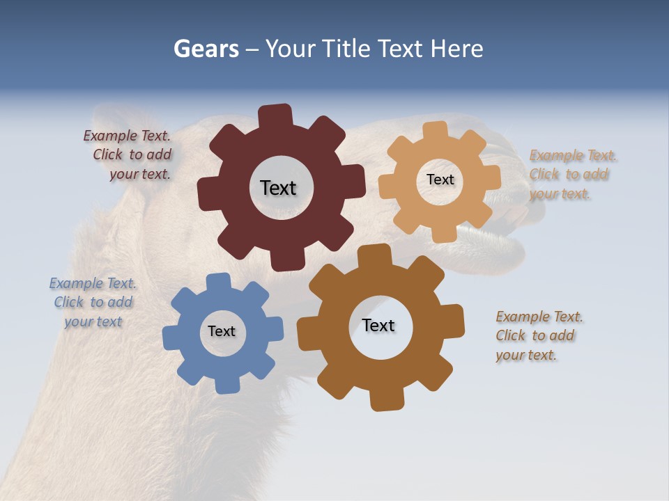 East Dry Dhabi PowerPoint Template