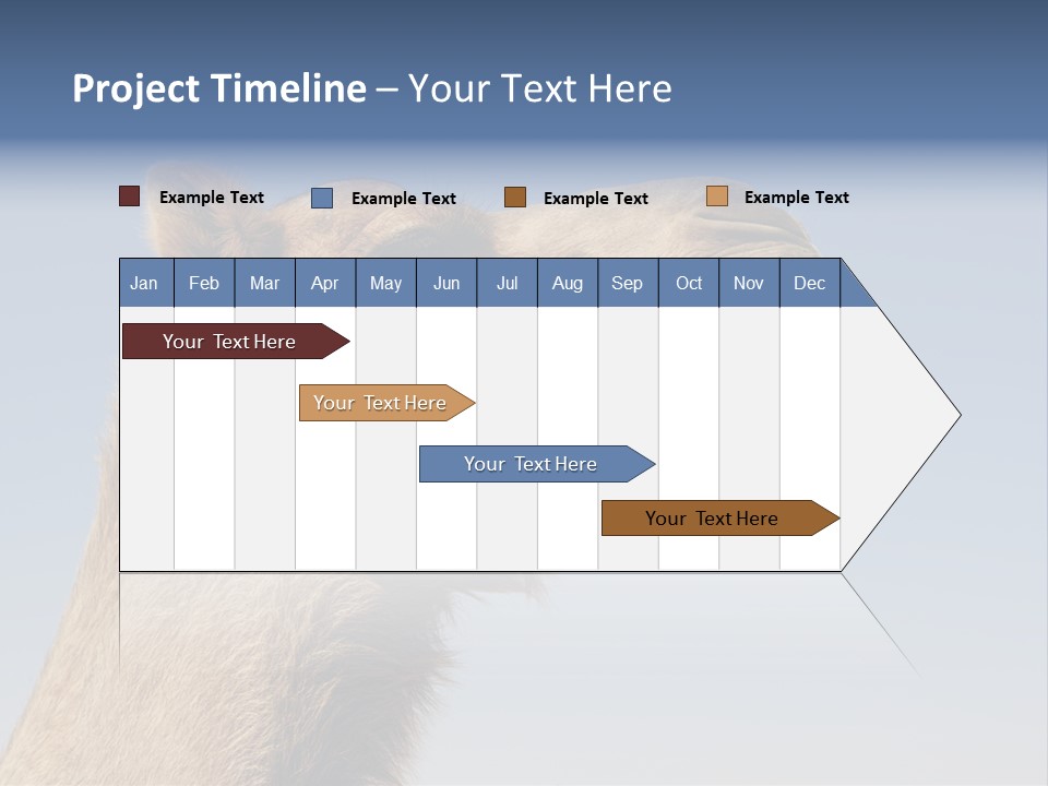 East Dry Dhabi PowerPoint Template