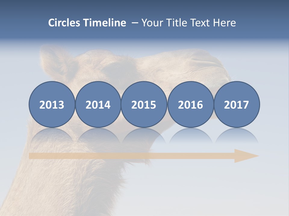 East Dry Dhabi PowerPoint Template