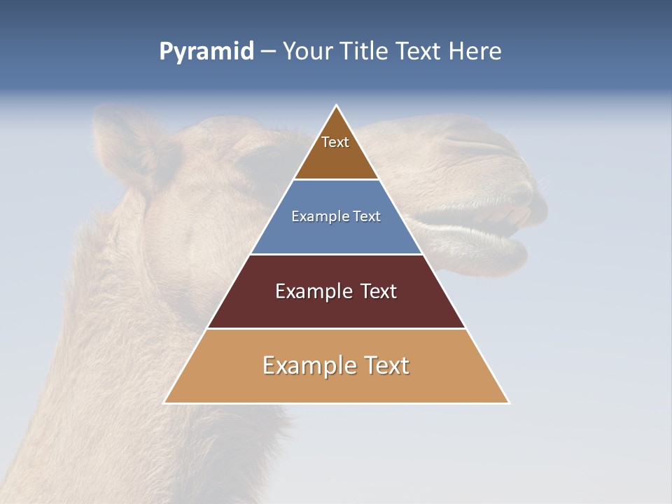 East Dry Dhabi PowerPoint Template