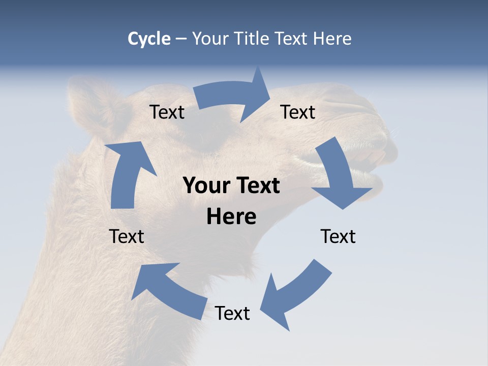 East Dry Dhabi PowerPoint Template