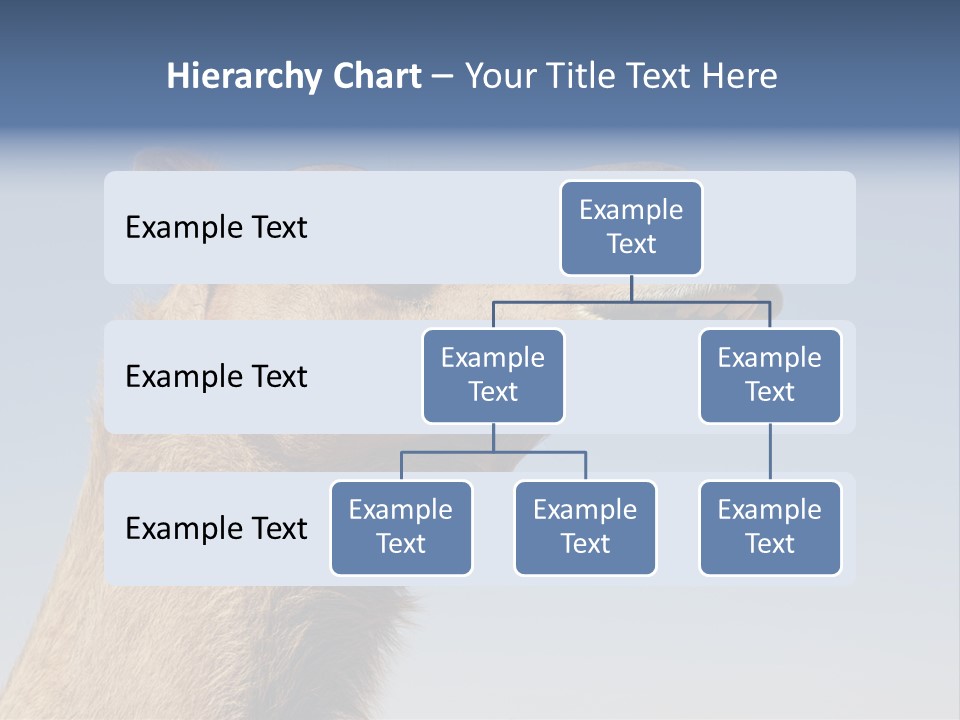 East Dry Dhabi PowerPoint Template