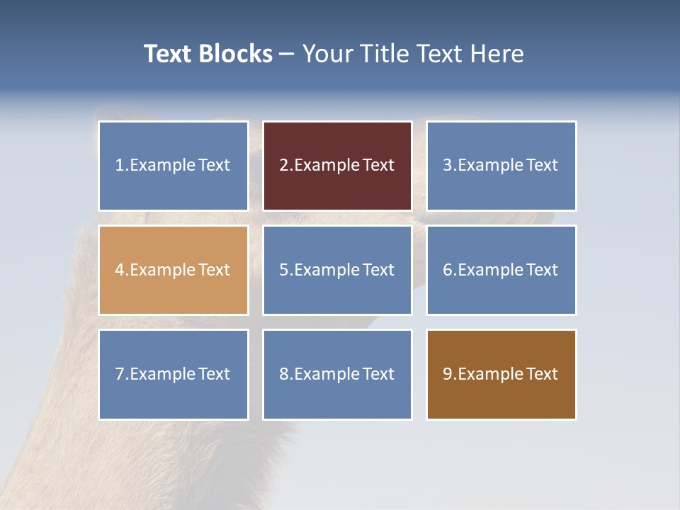 East Dry Dhabi PowerPoint Template